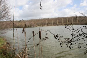 margin of a lake