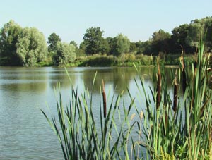 Etang de Margot