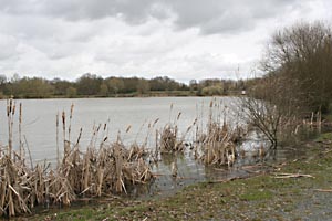 Margot water level