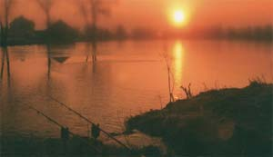 A wonderful sunrise!