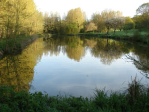 lake5
