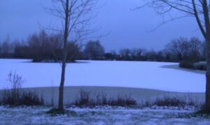A snow covered Oakview