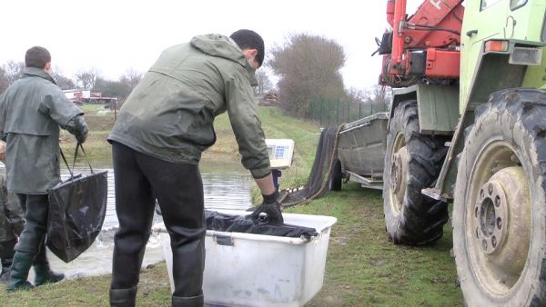 Carp fishing in France at Lords