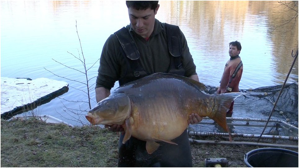 Carp fishing at Golden Oak