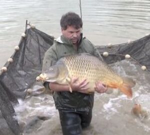 50lb common carp at Morgane