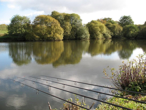 Carp fishing in France at Notaires