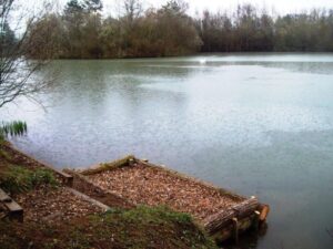 SocialSwim Carp fishing in France