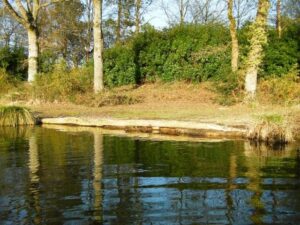 Carp swim improvements French carping at Oakwood