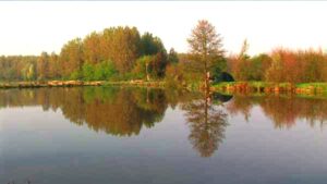 French carp lake Roseau