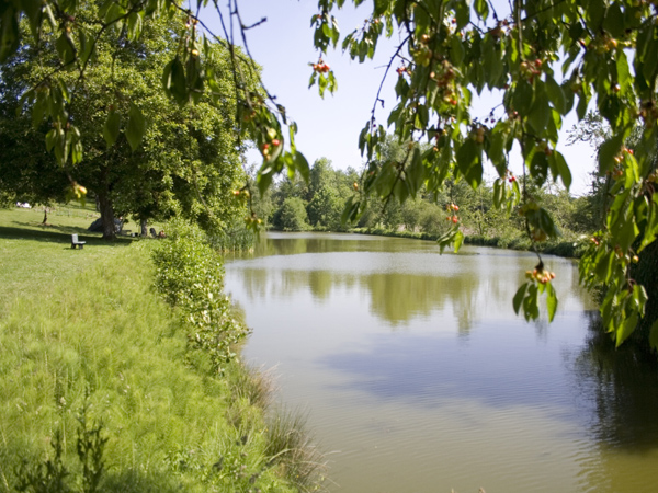 Carp lakes in France
