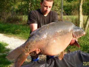 Gigantica September carp Gigantica September carp