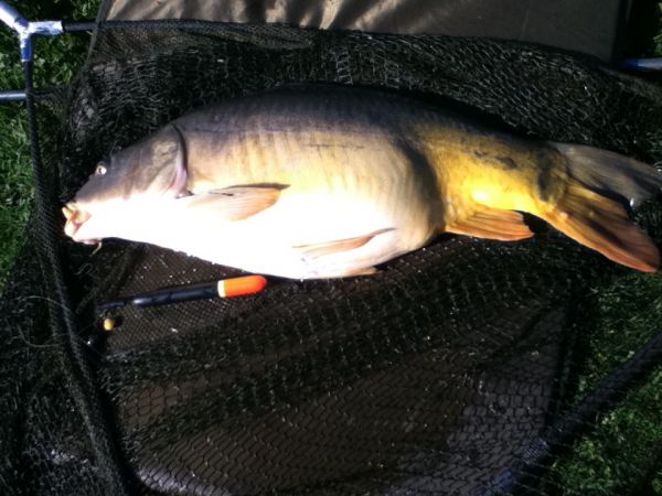 22lb carp caught with polaris ledger float Carp fishing in France