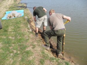 The work begins... Carping in France