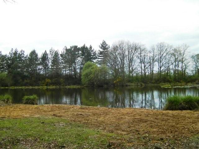 French carping