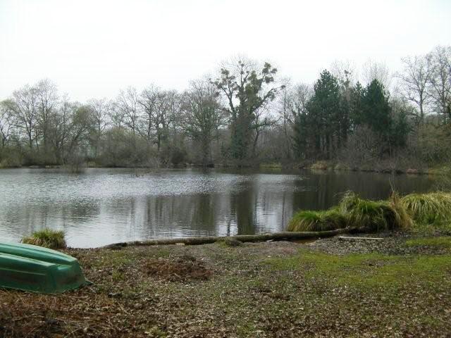 Carp swim 5 before the work Carping in france