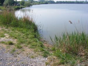 French carping at Roseau