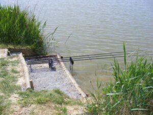 French carping at Roseau