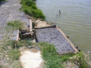 French carping at Roseau