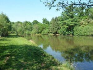 Carp fishing in France at Golden Oak