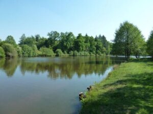 Carp fishing in France at Golden Oak