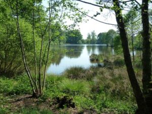 Carp fishing in France at Golden Oak