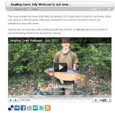 webcast