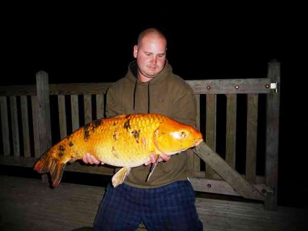 French carping at Morganes French carping at Morganes