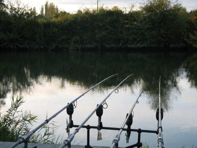 Carping on French lakes Carping on French lakes