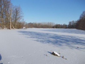 A very frozen French carp lake
