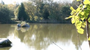 The Boulders Swim at Monument Carp Fishing in France