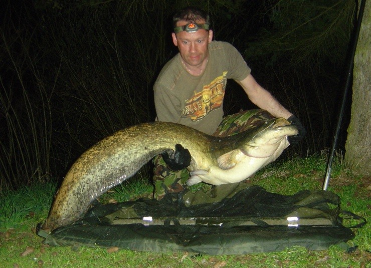 62lb 4oz Catfish from Molyneux French Carp Lakes