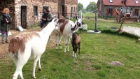Meet the animals at Notaires carp lake in France.