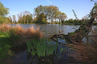 Carp fishing holidays