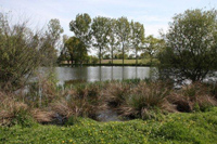 Carp fishing holidays