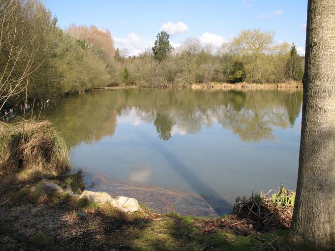 Carp fishing in France