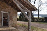 The lake is in the background at Boux carp lake in France.