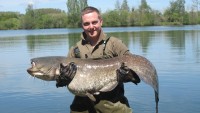 A 77lb Catfish from Laroussi in Apr 2012 by S Head