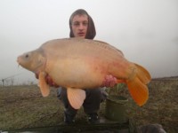 A Carp from Beaurepaire in Apr 2012 by D Yardley