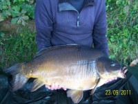 A 40lb Carp from Vaux in Sep 2011 by Chas