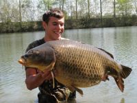 A 44lb Carp from Old Oaks