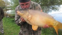 A 23lb Carp from Malvoisine in Apr 2012 by JEAN PAUL