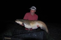 A 41lb Catfish from Lords in May 2012 by Terry Cheesman (PB Cat)