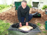 A 29lb Carp from Bletiere in May 2012 by Steve.new pb