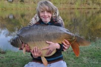 A 43lb Carp from Golden Oak