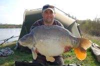 A 41lb Carp from Roseau Large Lake
