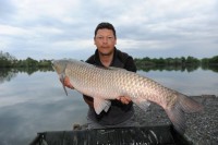 A 29lb Grass Carp from Margot in May 2012 by Gaz Armes (PB grassie)