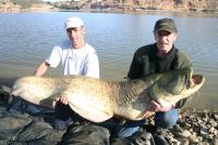 A Carp from  in Apr 2006 by Paul Salters