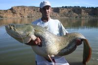 A Carp from  in Apr 2006 by Anthony Salters 