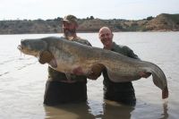A Carp from  in Apr 2006 by David 
