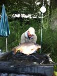 A 44lb Carp from Vaux in Aug 2011 by Ian Coyne
